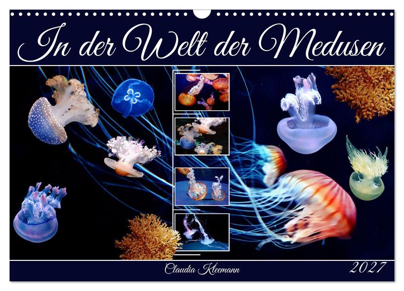 In der Welt der Medusen (Wandkalender 2027 DIN A3 quer) CALVENDO Monatskalender
