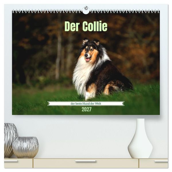 Der Collie der beste Hund der Welt (hochwertiger Premium Wandkalender 2027 DIN A2 quer) Kunstdruck in Hochglanz