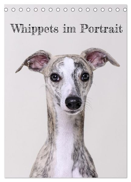 Whippets im Portrait (Tischkalender 2027 DIN A5 hoch) CALVENDO Monatskalender