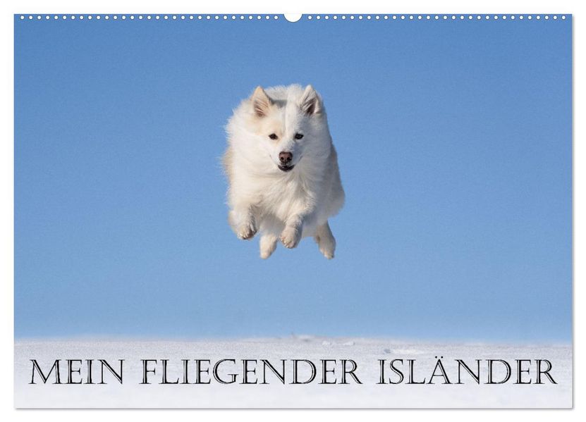 Mein fliegender Isländer (Wandkalender 2027 DIN A2 quer) CALVENDO Monatskalender