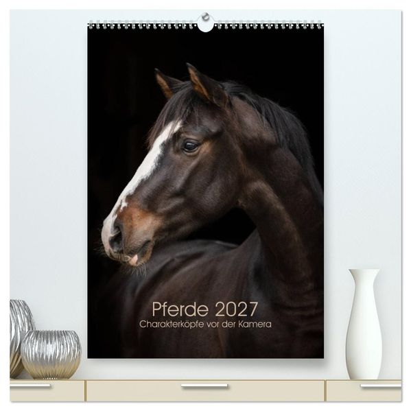 Pferde 2027 - Charakterköpfe vor der Kamera (hochwertiger Premium Wandkalender 2027 DIN A2 hoch) Kunstdruck in Hochglanz