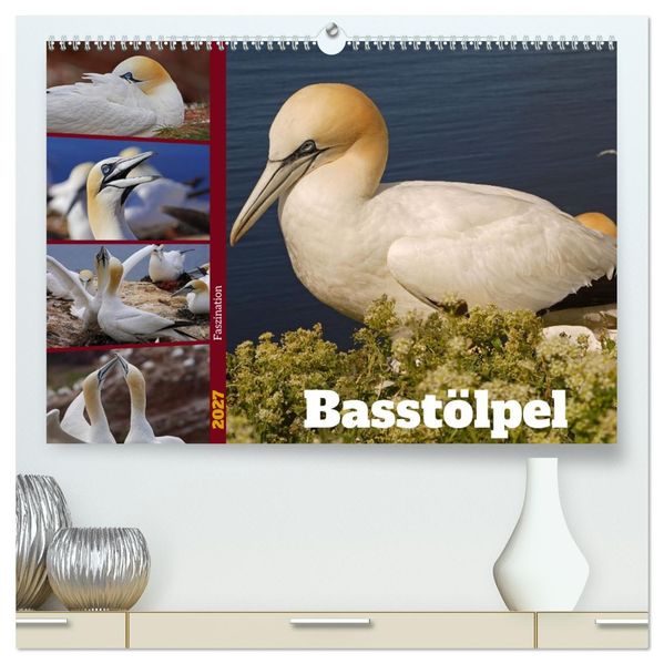 Faszination Basstölpel (hochwertiger Premium Wandkalender 2027 DIN A2 quer) Kunstdruck in Hochglanz