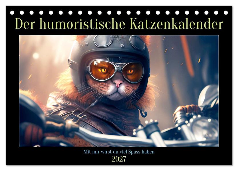 Der humoristische Katzen Kalender (Tischkalender 2027 DIN A5 quer) CALVENDO Monatskalender