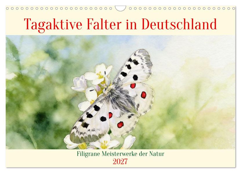 Tagaktive Falter in Deutschland (Wandkalender 2027 DIN A3 quer) CALVENDO Monatskalender