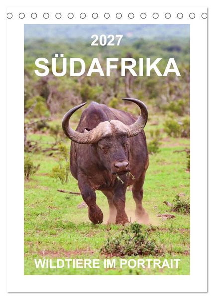 SÜDAFRIKA - WILDTIERE IM PORTRAIT (Tischkalender 2027 DIN A5 hoch) CALVENDO Monatskalender