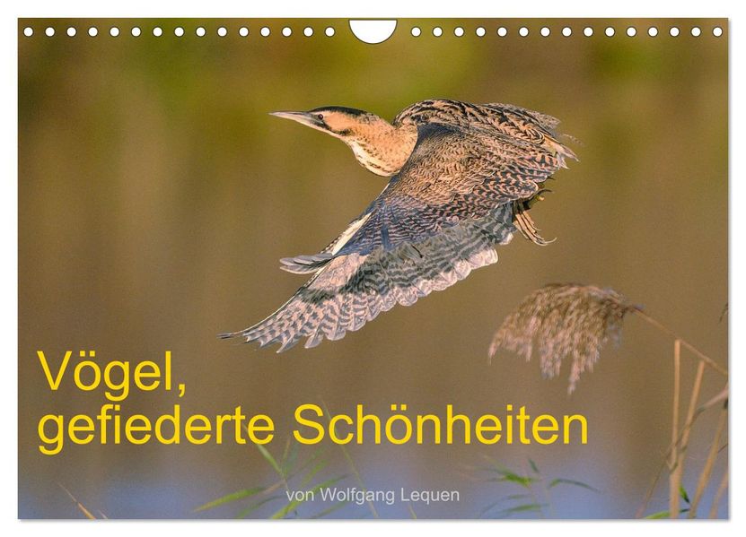 Vögel Gefiederte Schönheiten (Wandkalender 2027 DIN A4 quer) CALVENDO Monatskalender