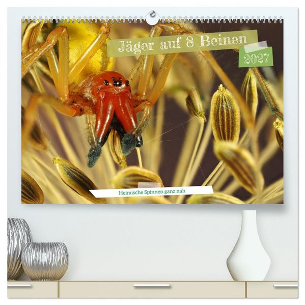 Jäger auf acht Beinen (hochwertiger Premium Wandkalender 2027 DIN A2 quer) Kunstdruck in Hochglanz