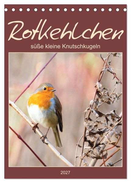 Rotkehlchen süße kleine Knutschkugeln (Tischkalender 2027 DIN A5 hoch) CALVENDO Monatskalender