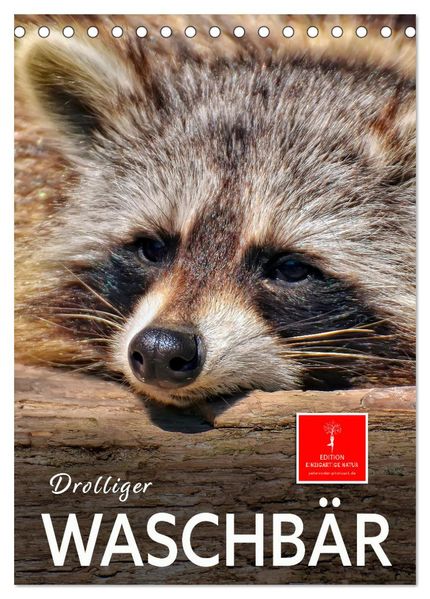 Drolliger Waschbär (Tischkalender 2027 DIN A5 hoch) CALVENDO Monatskalender