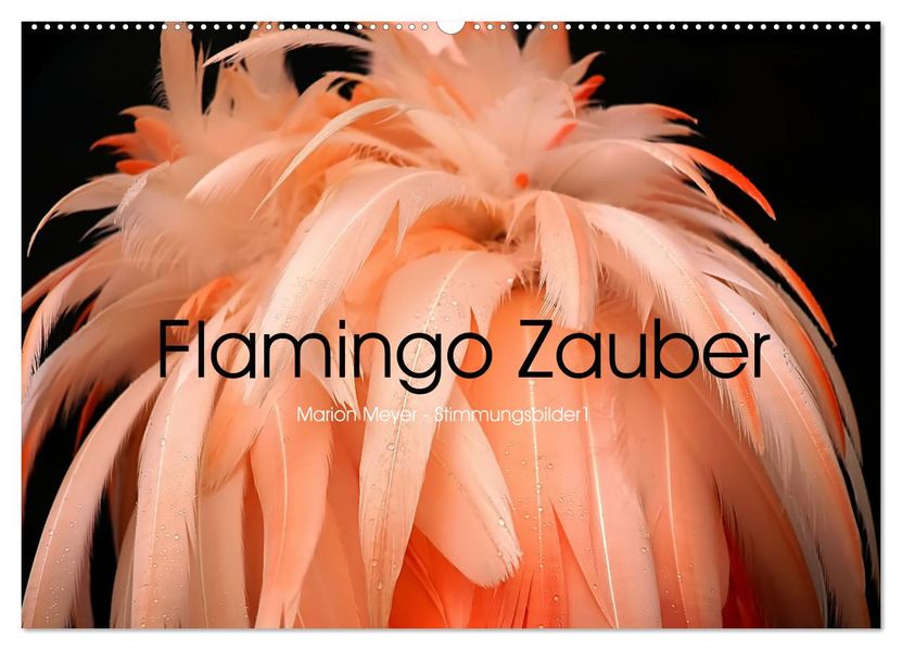 Flamingo Zauber (Wandkalender 2027 DIN A2 quer) CALVENDO Monatskalender