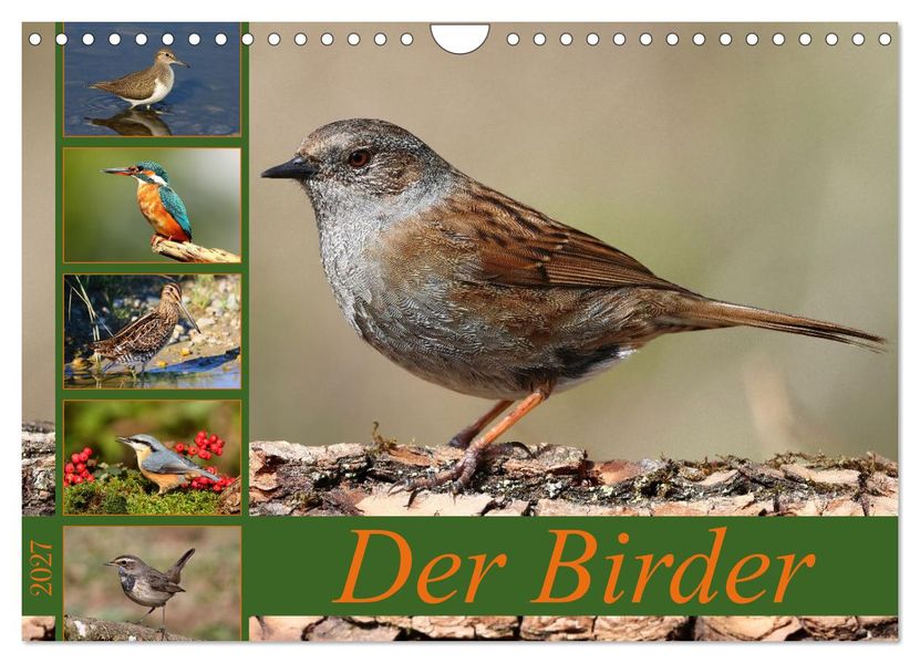 Der Birder (Wandkalender 2027 DIN A4 quer) CALVENDO Monatskalender