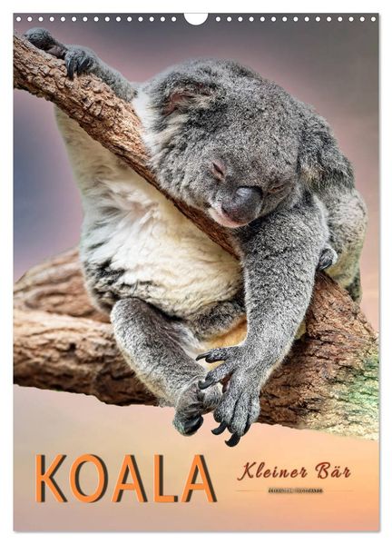 Koala kleiner Bär (Wandkalender 2027 DIN A3 hoch) CALVENDO Monatskalender