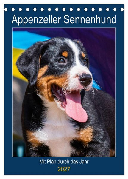 Appenzeller Sennenhund - Mit Plan durch das Jahr (Tischkalender 2027 DIN A5 hoch) CALVENDO Monatskalender