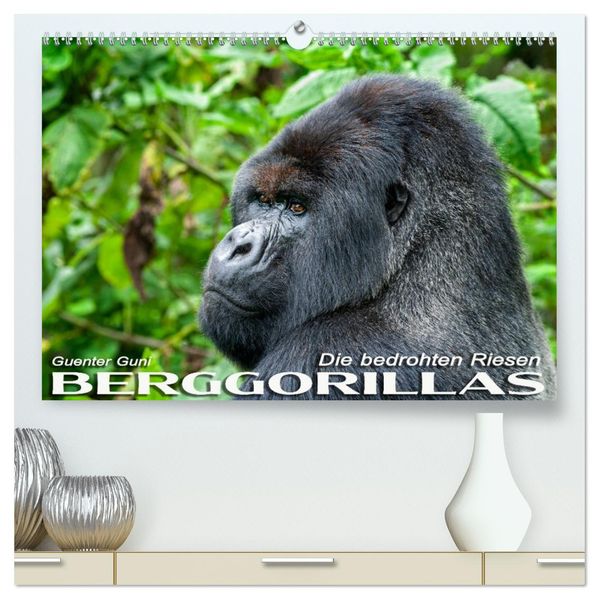Berggorillas: die bedrohten Riesen (hochwertiger Premium Wandkalender 2027 DIN A2 quer) Kunstdruck in Hochglanz