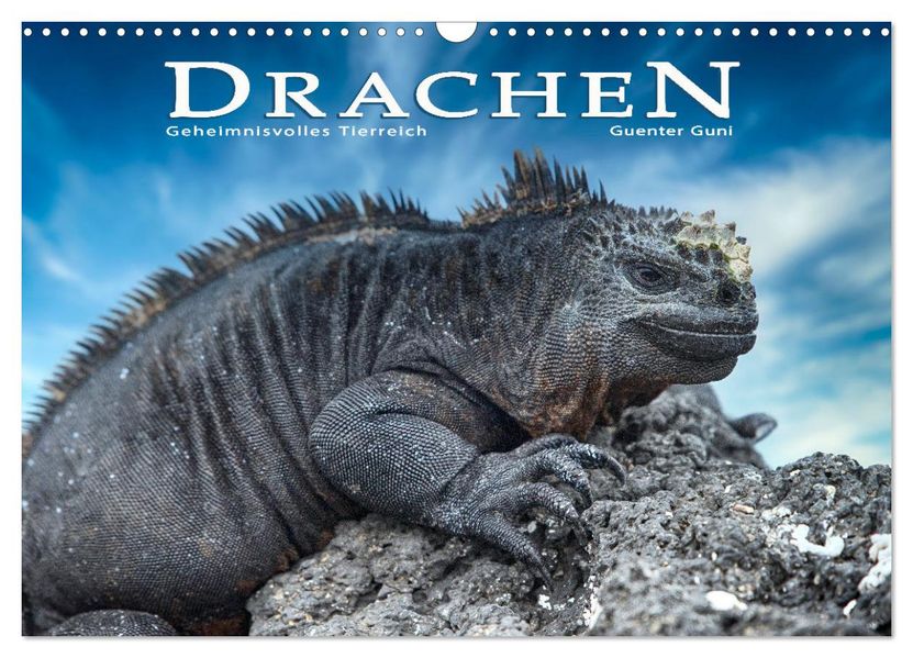 Drachen: Geheimnisvolles Tierreich (Wandkalender 2027 DIN A3 quer) CALVENDO Monatskalender