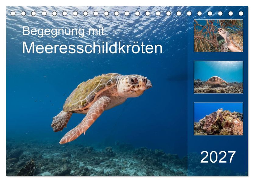 Begegnung mit Meeresschildkröten (Tischkalender 2027 DIN A5 quer) CALVENDO Monatskalender