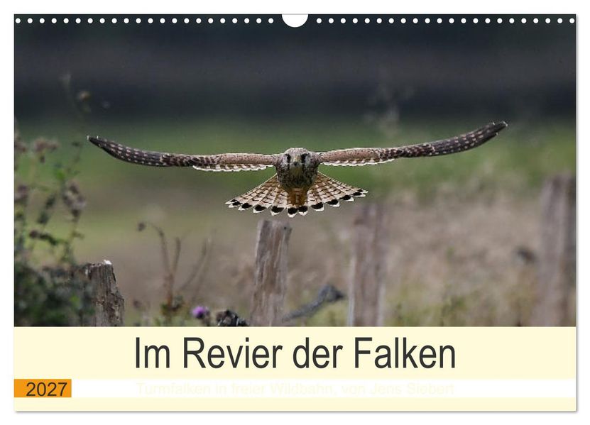 Im Revier der Falken (Wandkalender 2027 DIN A3 quer) CALVENDO Monatskalender