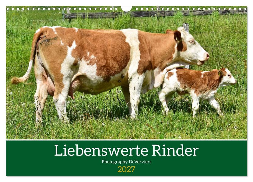 Liebenswerte Rinder (Wandkalender 2027 DIN A3 quer) CALVENDO Monatskalender