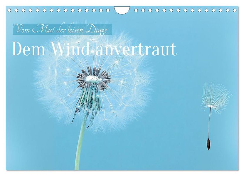 Dem Wind anvertraut (Wandkalender 2027 DIN A4 quer) CALVENDO Monatskalender