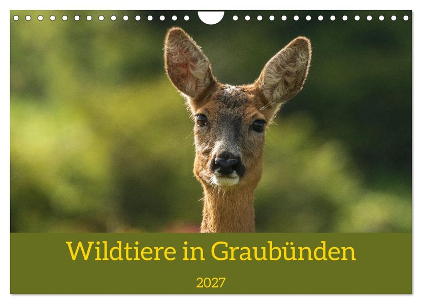 Wildtiere in Graubünden (Wandkalender 2027 DIN A4 quer) CALVENDO Monatskalender