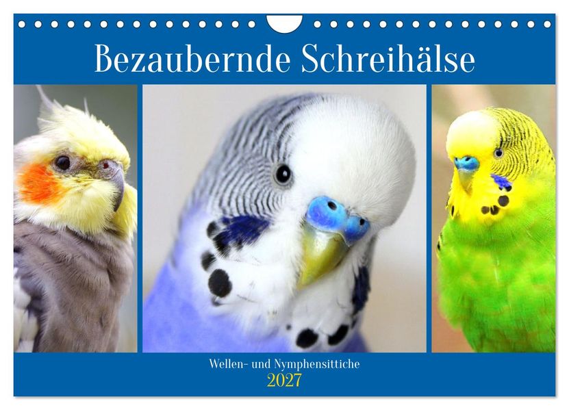 Bezaubernde Schreihälse. Wellen- und Nymphensittiche (Wandkalender 2027 DIN A4 quer) CALVENDO Monatskalender