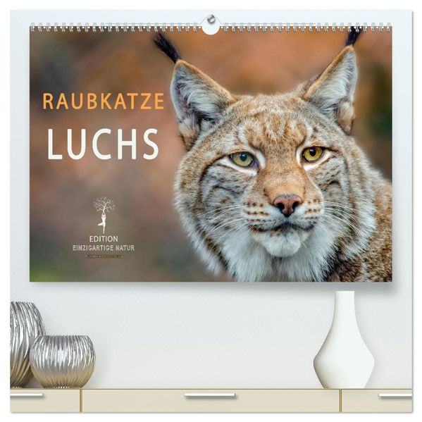 Raubkatze Luchs (hochwertiger Premium Wandkalender 2027 DIN A2 quer) Kunstdruck in Hochglanz