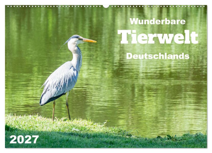Wunderbare Tierwelt Deutschlands (Wandkalender 2027 DIN A2 quer) CALVENDO Monatskalender