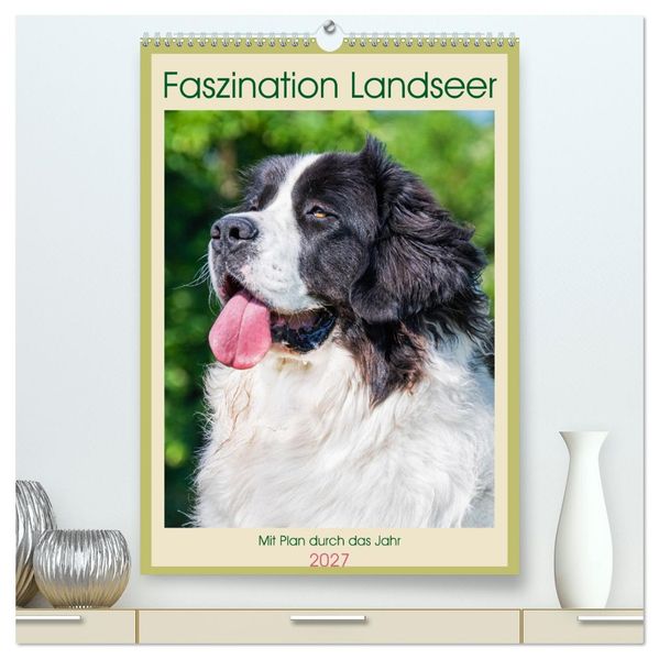Faszination Landseer - Mit Plan durch das Jahr (hochwertiger Premium Wandkalender 2027 DIN A2 hoch) Kunstdruck in Hochglanz