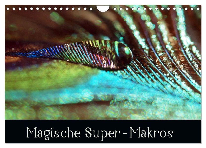 Magische Super-Makros (Wandkalender 2027 DIN A4 quer) CALVENDO Monatskalender