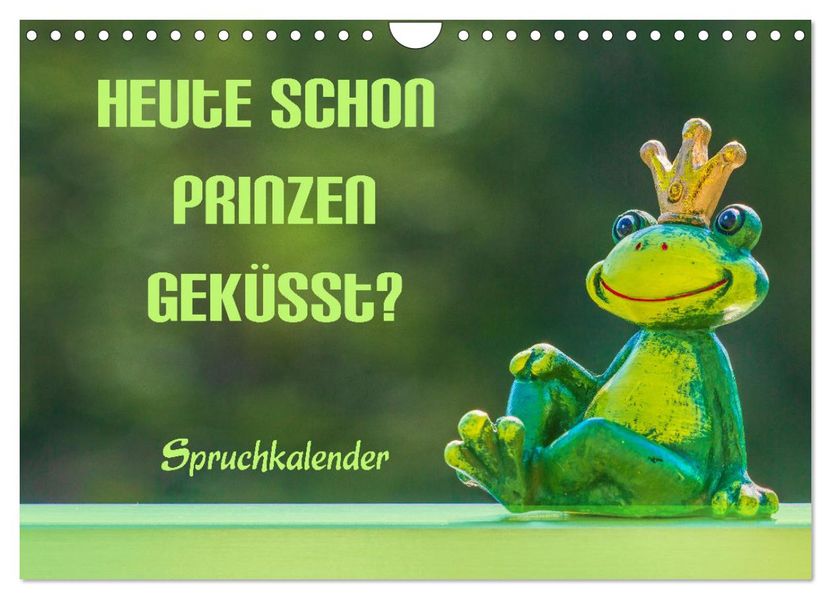Heute schon Prinzen geküsst? Spruchkalender (Wandkalender 2027 DIN A4 quer) CALVENDO Monatskalender