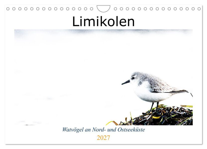 Limikolen - Watvögel an Nord- und Ostseeküste (Wandkalender 2027 DIN A4 quer) CALVENDO Monatskalender