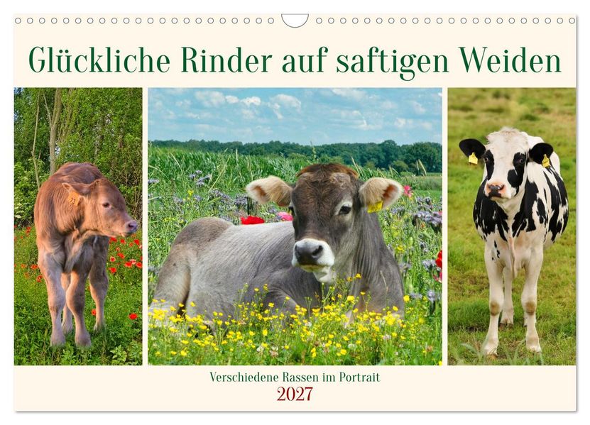 Glückliche Rinder auf saftigen Weiden (Wandkalender 2027 DIN A3 quer) CALVENDO Monatskalender