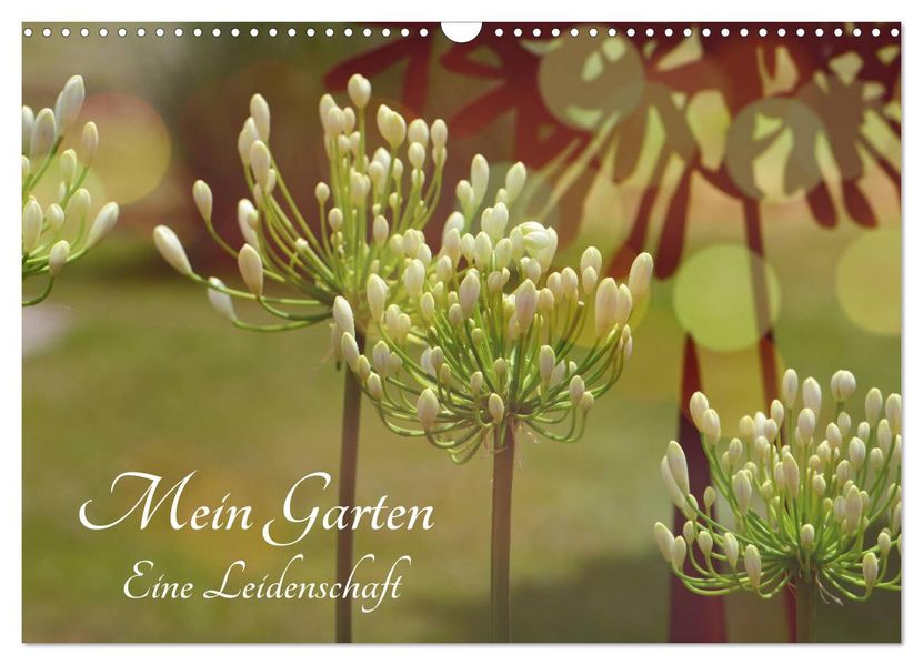 Mein Garten Eine Leidenschaft (Wandkalender 2027 DIN A3 quer) CALVENDO Monatskalender