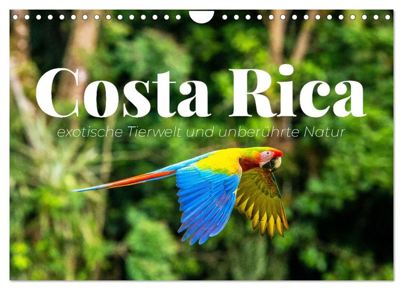 Costa Rica - exotische Tierwelt und unberührte Natur (Wandkalender 2027 DIN A4 quer) CALVENDO Monatskalender