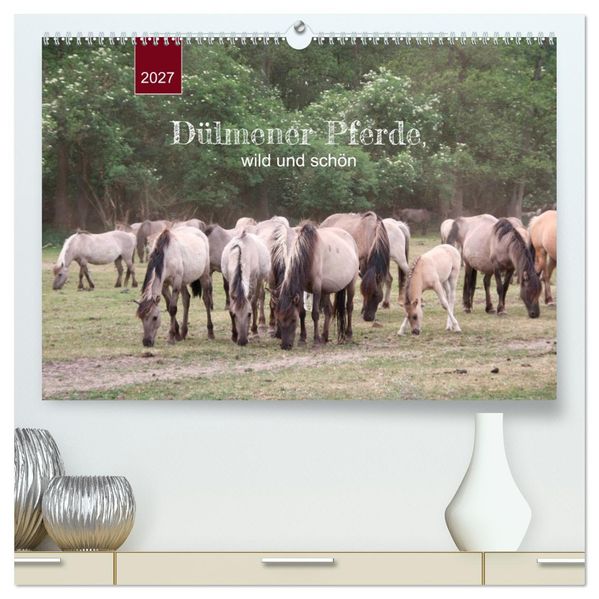 Dülmener Pferde wild und schön (hochwertiger Premium Wandkalender 2027 DIN A2 quer) Kunstdruck in Hochglanz