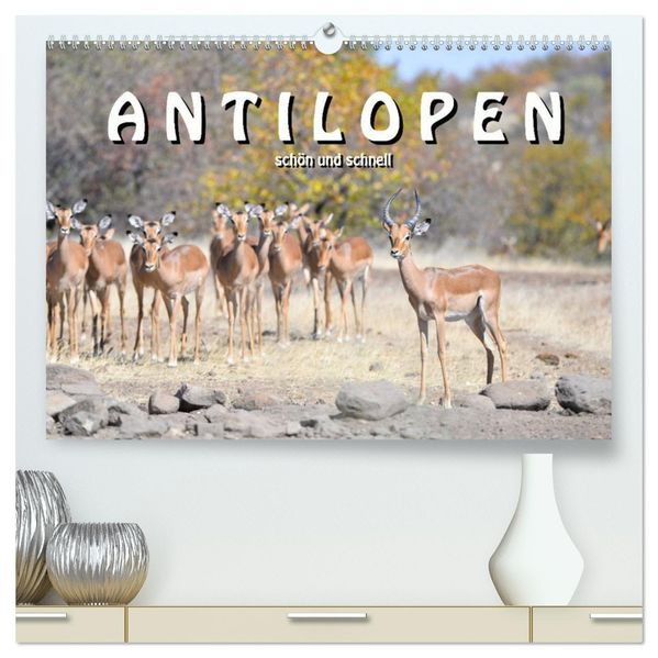 Antilopen schön und schnell (hochwertiger Premium Wandkalender 2027 DIN A2 quer) Kunstdruck in Hochglanz