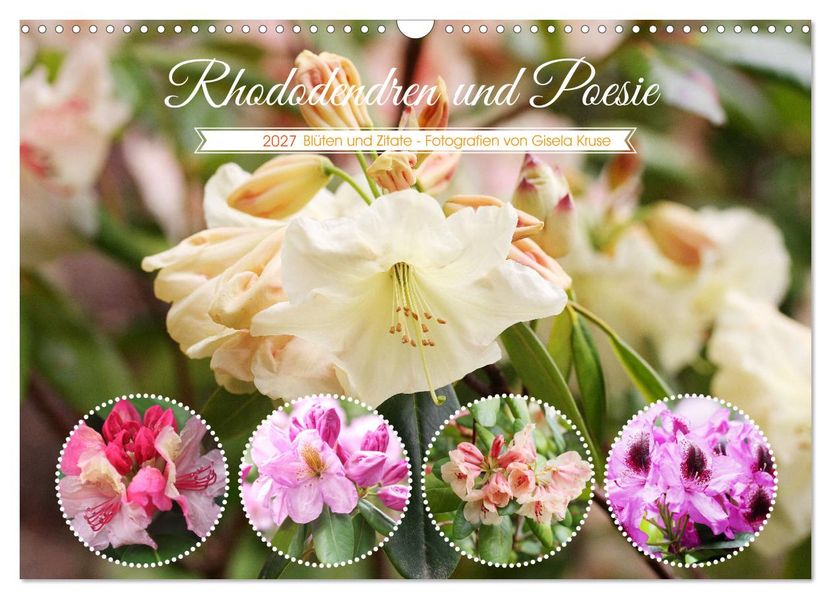 Rhododendren und Poesie (Wandkalender 2027 DIN A3 quer) CALVENDO Monatskalender