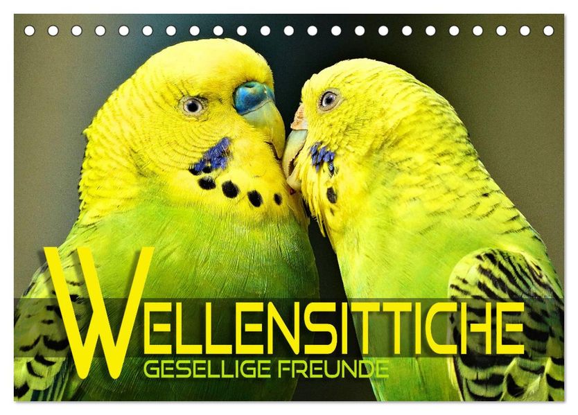Wellensittiche - gesellige Freunde (Tischkalender 2027 DIN A5 quer) CALVENDO Monatskalender
