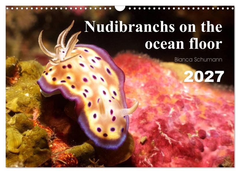 Nudibranchs on the ocean floor (Wall Calendar 2027 DIN A3 landscape) CALVENDO 12 Month Wall Calendar