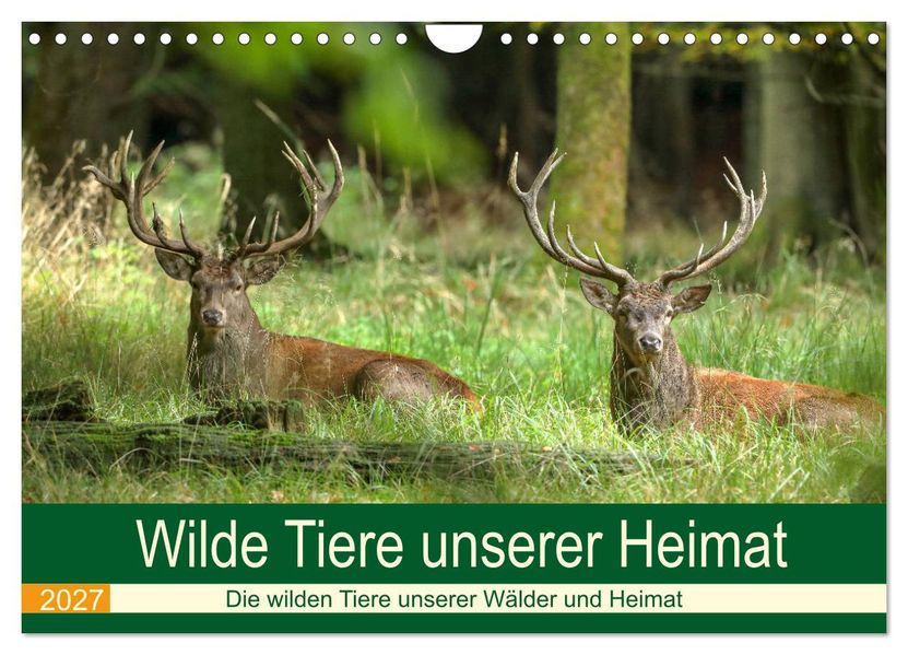 Wilde Tiere unserer Heimat (Wandkalender 2027 DIN A4 quer) CALVENDO Monatskalender