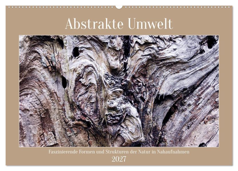 Abstrakte Umwelt (Wandkalender 2027 DIN A2 quer) CALVENDO Monatskalender