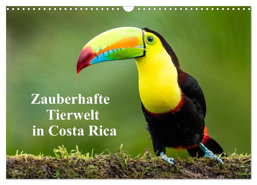Zauberhaft Tierwelt in Costa Rica (Wandkalender 2027 DIN A3 quer) CALVENDO Monatskalender