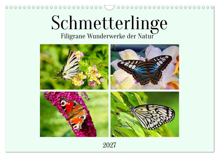 Schmetterlinge - Filigrane Wunderwerke der Natur (Wandkalender 2027 DIN A3 quer) CALVENDO Monatskalender