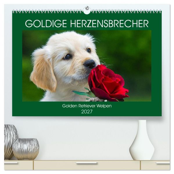 Goldige Herzensbrecher - Golden Retriever Welpen (hochwertiger Premium Wandkalender 2027 DIN A2 quer) Kunstdruck in Hochglanz