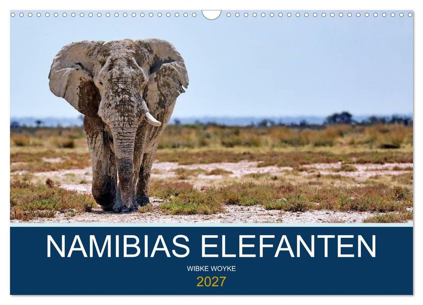 Namibias Elefanten (Wandkalender 2027 DIN A3 quer) CALVENDO Monatskalender