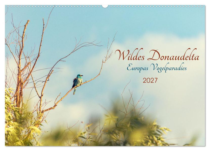 Wildes Donaudelta (Wandkalender 2027 DIN A2 quer) CALVENDO Monatskalender