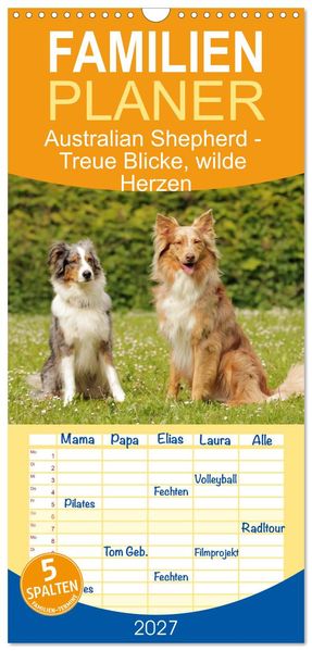 Familienplaner 2027 - Australian Shepherd - Treue Blicke wilde Herzen mit 5 Spalten (Wandkalender 21 x 45 cm) CALVENDO