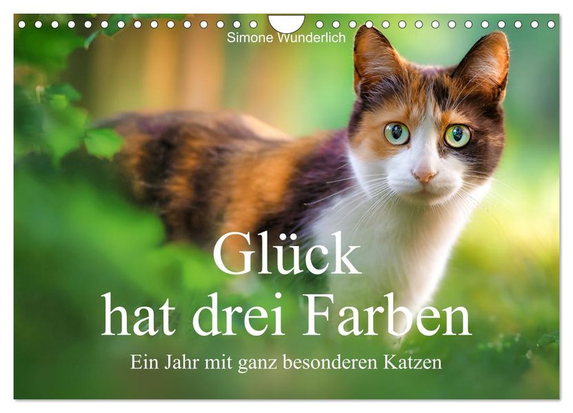 Glück hat drei Farben - ein Jahr mit ganz besonderen Katzen (Wandkalender 2027 DIN A4 quer) CALVENDO Monatskalender