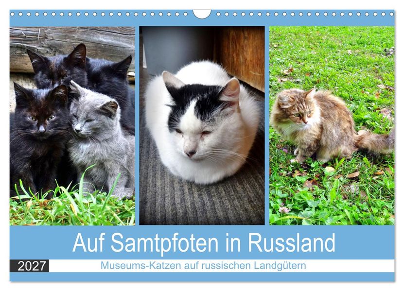 Auf Samtpfoten in Russland - Museums-Katzen auf russischen Landgütern (Wandkalender 2027 DIN A3 quer) CALVENDO Monatskalender