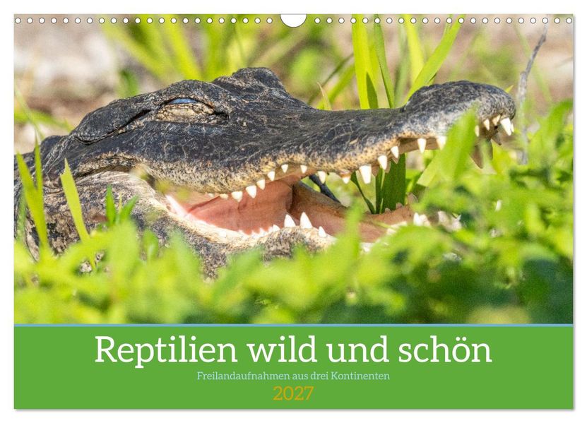 Reptilien wild und schön (Wandkalender 2027 DIN A3 quer) CALVENDO Monatskalender